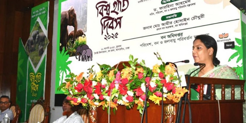 হাতি সংরক্ষণে প্রাকৃতিক আবাসস্থল রক্ষা অত্যন্ত জরুরি: পরিবেশ উপদেষ্টা